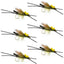 Premium Adult Skwala Stonefly Dry Flies - Size 10 - Pack of 6 - Korvel