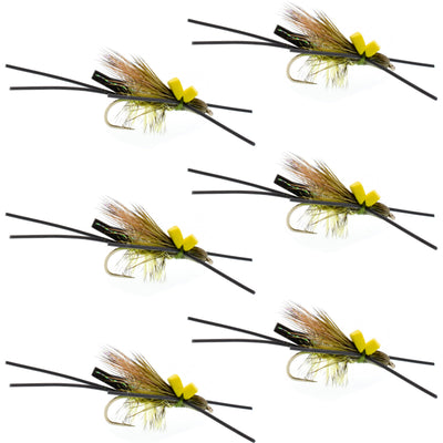 Premium Adult Skwala Stonefly Dry Flies - Size 10 - Pack of 6 - Korvel
