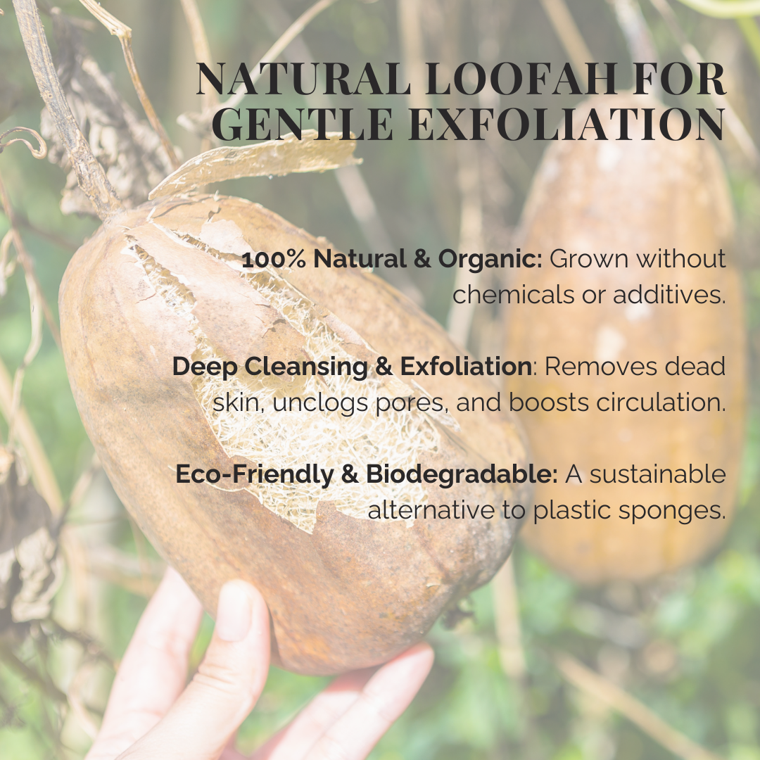Natural Loofah Sponge - Eco-Friendly Exfoliator