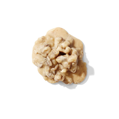 Walnut Praline – Elegant Twist on a Southern Classic - Korvel