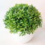 Set of 6 Small Artificial Bonsai Potted Plants for Home Decor