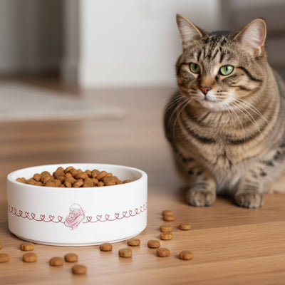 Love Line Ceramic Cat Bowl - Elegant Cat Love Design