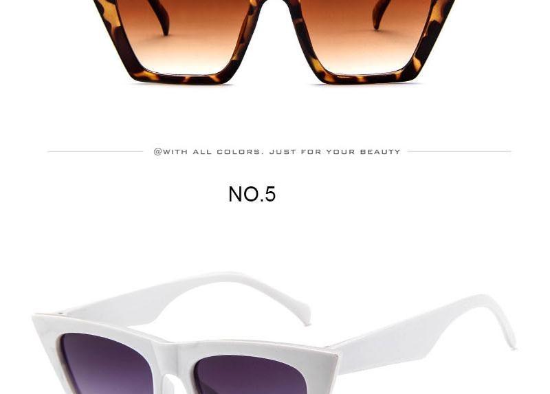 Chic Square Sunglasses for Women - Retro Stylish Eyewear - Korvel