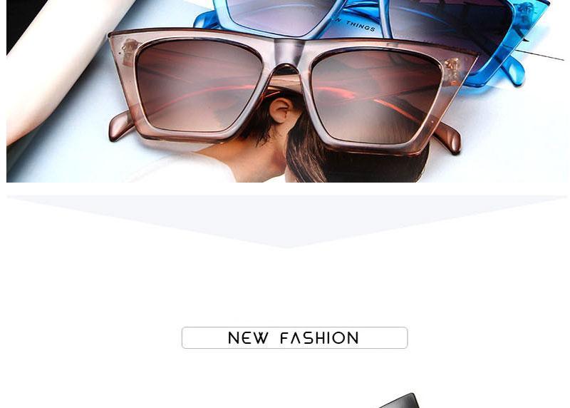 Chic Square Sunglasses for Women - Retro Stylish Eyewear - Korvel
