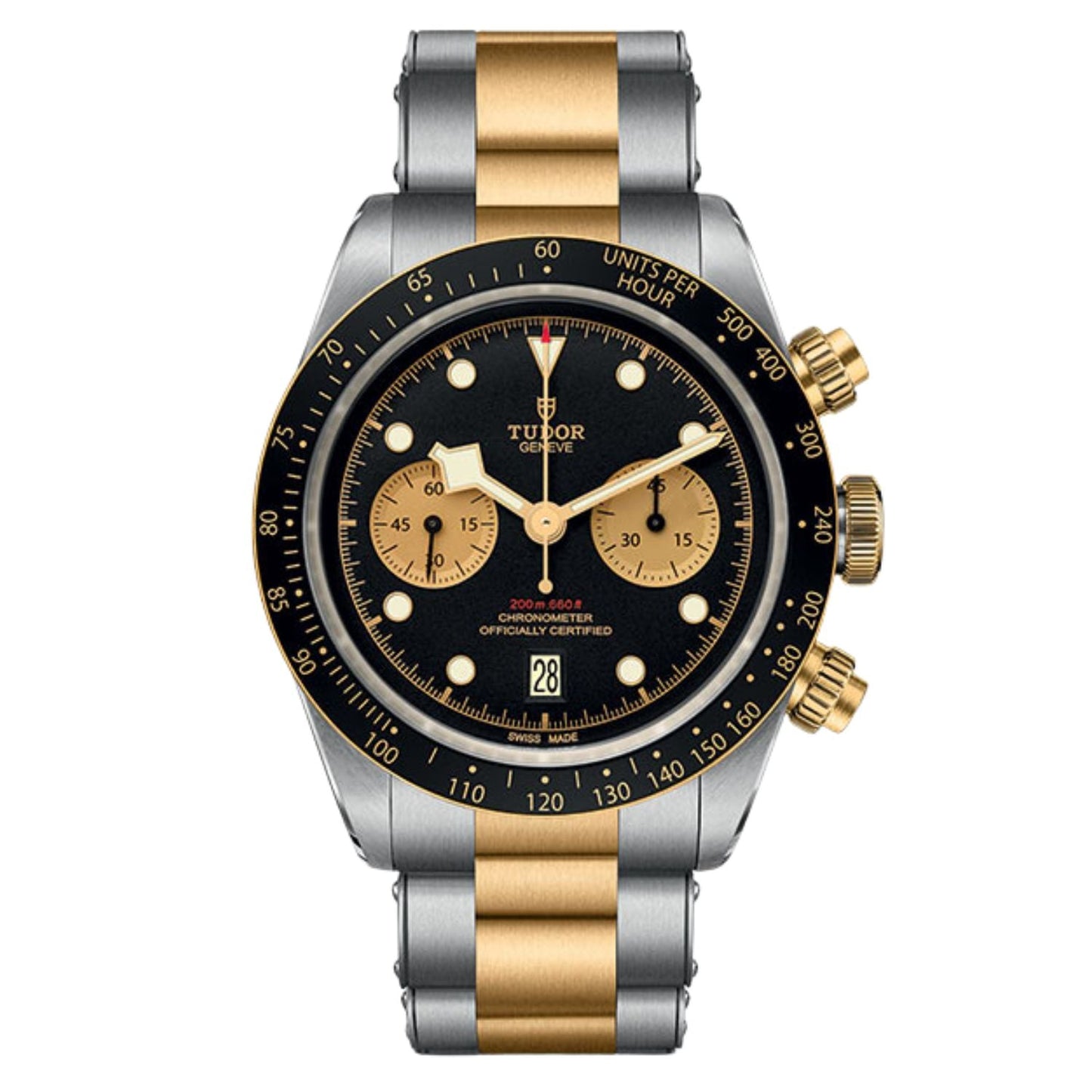 Montre Tudor Black Bay pour homme