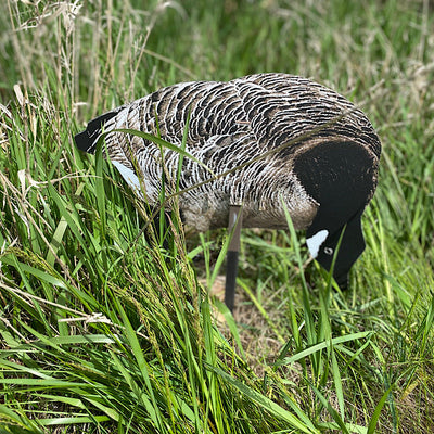 Magnum Lite 3D Canada Geese Decoys