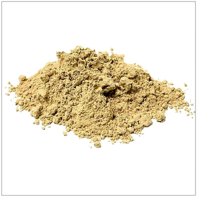 Polvo de Champiñón Maitake Premium