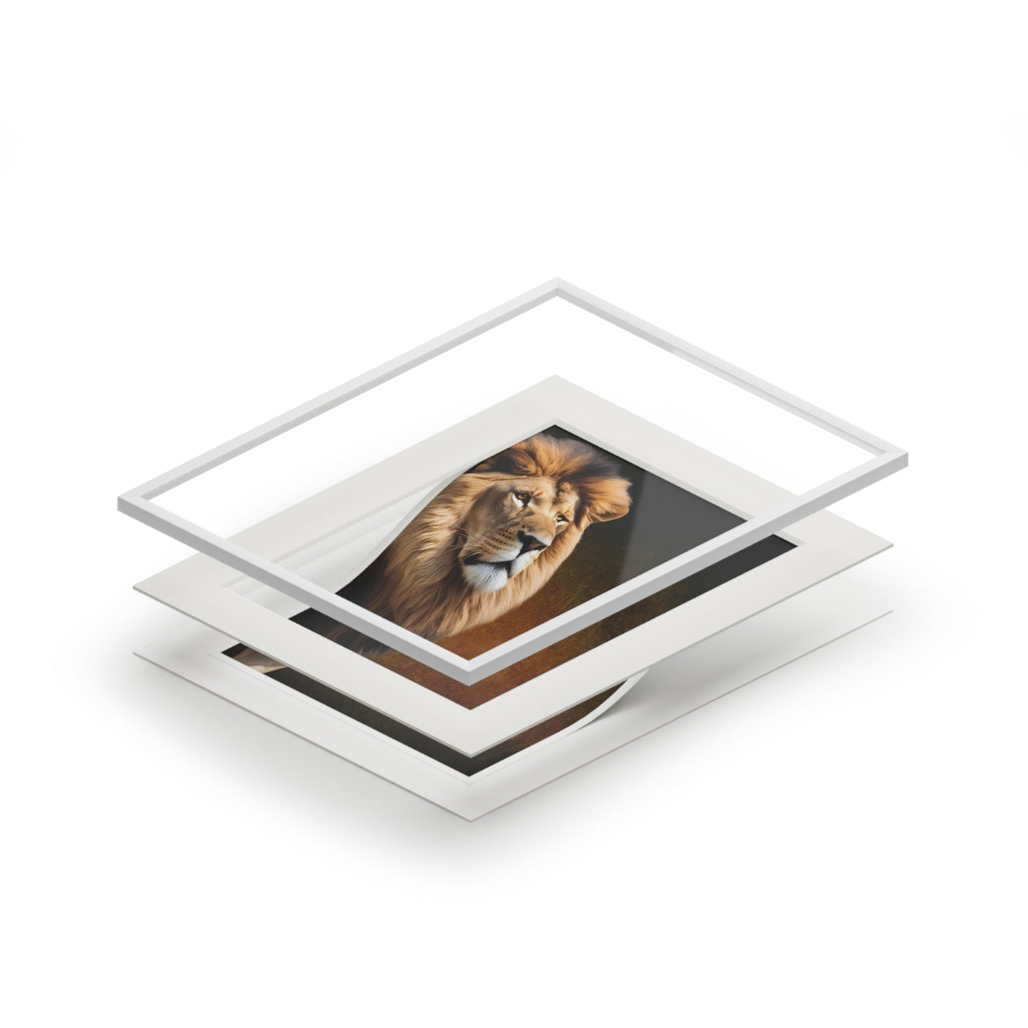 Majestic Lion Fine Art Print with Passepartout Frame