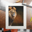 Majestic Lion Fine Art Print with Passepartout Frame