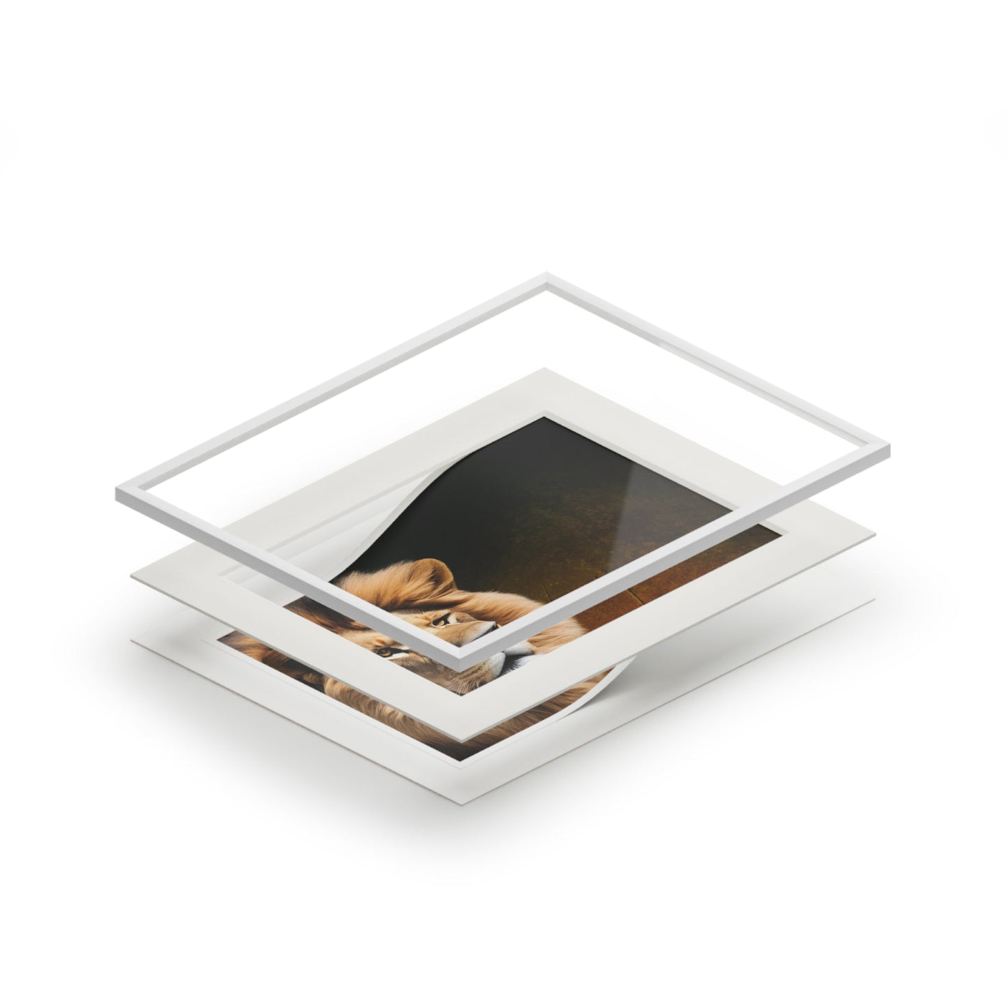 Majestic Lion Fine Art Print with Passepartout Frame