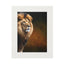 Majestic Lion Fine Art Print with Passepartout Frame