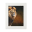 Majestic Lion Fine Art Print with Passepartout Frame