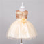 Vestido de Lentejuelas Elegante para Bebés en Ocasiones Especiales