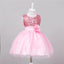 Vestido de Lentejuelas Elegante para Bebés en Ocasiones Especiales