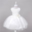 Vestido de Lentejuelas Elegante para Bebés en Ocasiones Especiales