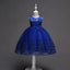 Robe de Demoiselle d'Honneur en Tulle avec Broderie de Perles et Dentelle Mandotos