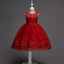 Robe de Demoiselle d'Honneur en Tulle avec Broderie de Perles et Dentelle Mandotos