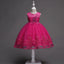 Robe de Demoiselle d'Honneur en Tulle avec Broderie de Perles et Dentelle Mandotos