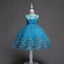 Robe de Demoiselle d'Honneur en Tulle avec Broderie de Perles et Dentelle Mandotos