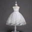 Robe de Demoiselle d'Honneur en Tulle avec Broderie de Perles et Dentelle Mandotos