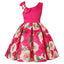 Vestidos de Princesa para Niñas - Estilos de Impresión Digital Encantadores