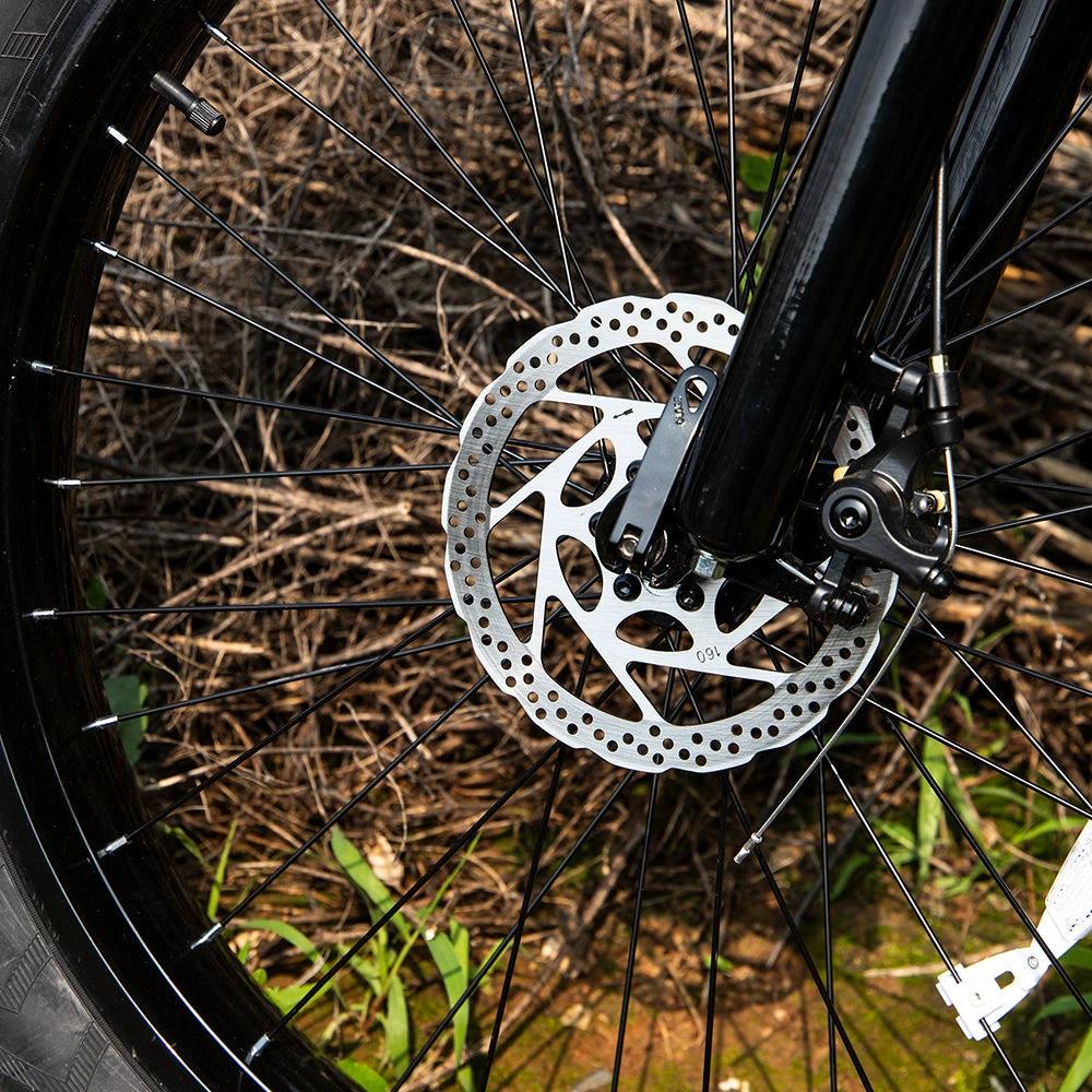 Bicicleta de Montaña Eléctrica Premium con Motor de 1000W y Neumáticos Anchos