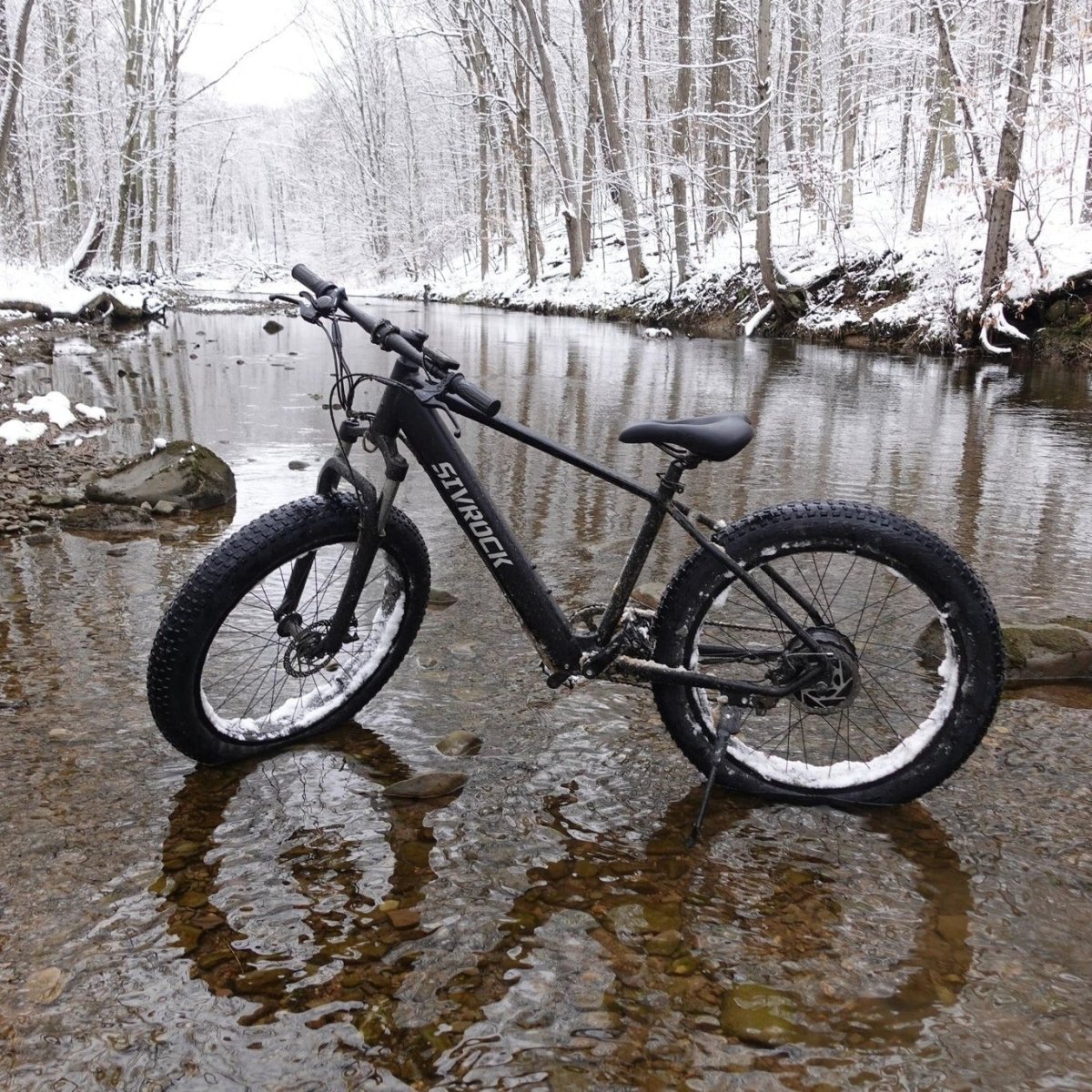 Bicicleta de Montaña Eléctrica Premium con Motor de 1000W y Neumáticos Anchos