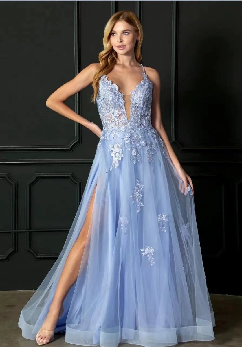 Elegant Women's Evening Suspender Dance Dress