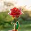 Rose Cadeau Exquise Plaquée Or 24K