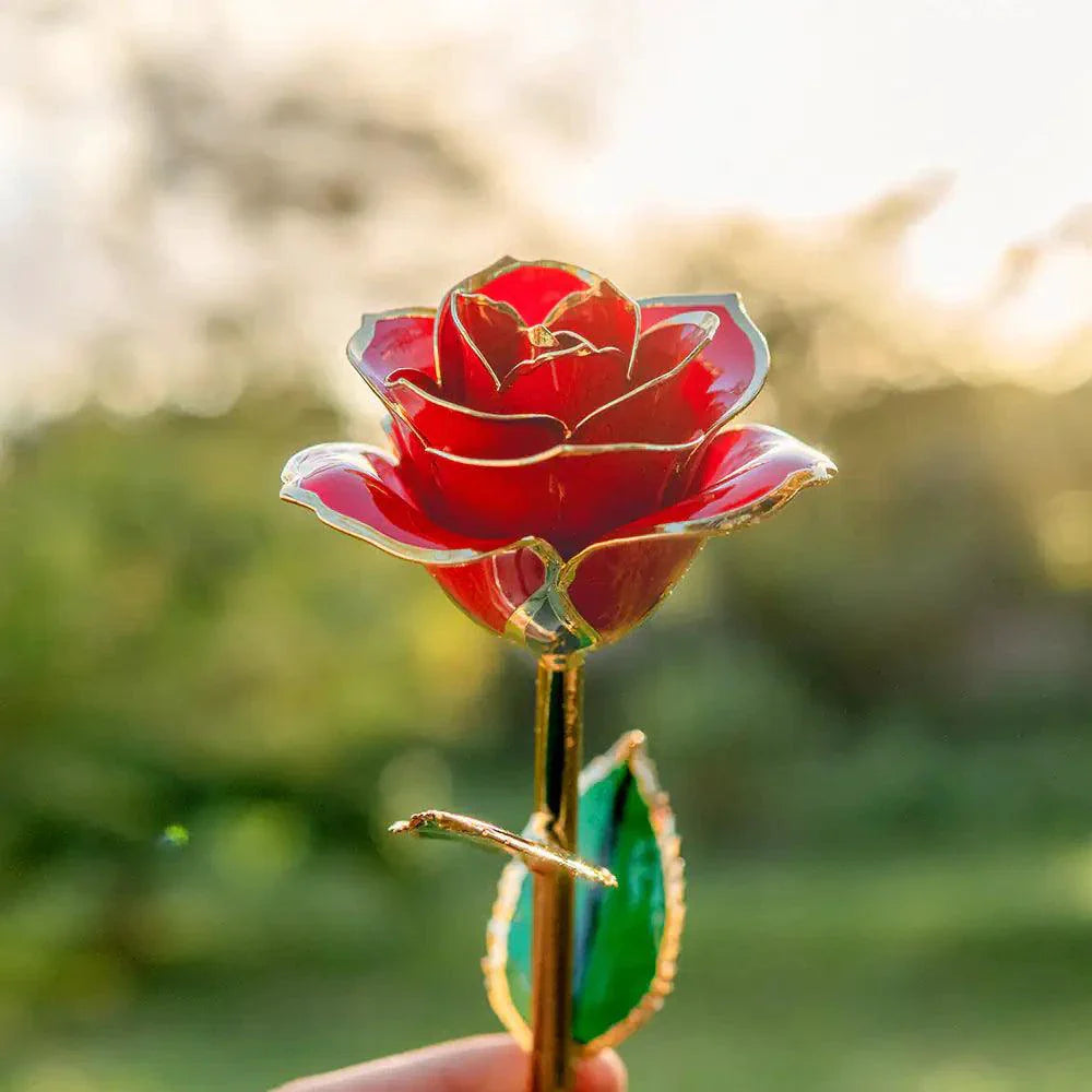 Rose Cadeau Exquise Plaquée Or 24K
