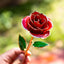 Rose Cadeau Exquise Plaquée Or 24K