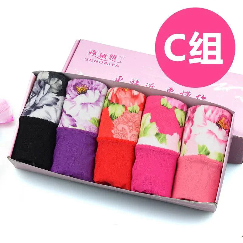 Pack de 5 Bragas de Algodón Impresas para Mujeres