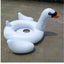 Aqua Oasis Pool Float