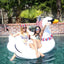 Aqua Oasis Pool Float