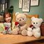 Almohada de Peluche Oso de Rosas Abrazo - Compañero Suave y Adorable