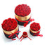 Conjunto de Caja de Rosas Reales Preservadas Mandotos - Regalo Atemporal para Cualquier Ocasión
