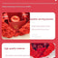 Valentine's Day Crystal Pendant Necklace Set in Soap Rose Gift Box