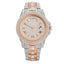 Gentlemen's Gold Luxe Watch