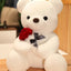 Mandotos Cuddly Rose Teddy Pillow - Plush Bear with Rose Detail