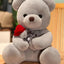 Mandotos Cuddly Rose Teddy Pillow - Plush Bear with Rose Detail