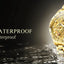 OLEVS Luxury Gold Men's Chronograph Watch