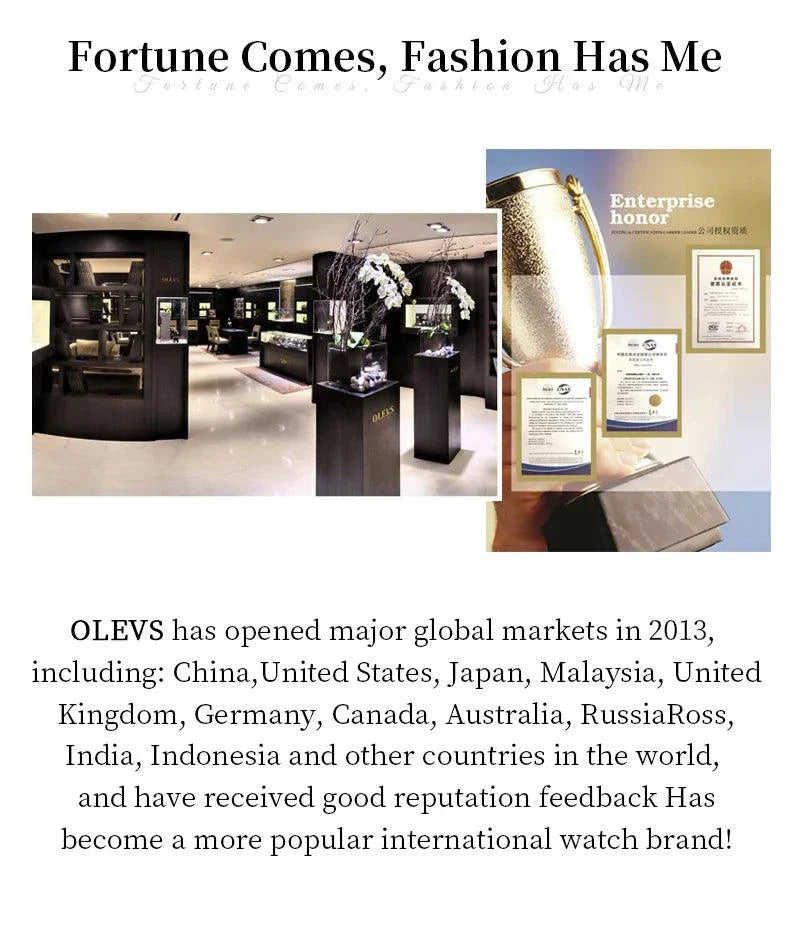 OLEVS Luxury Gold Men's Chronograph Watch