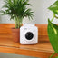 Imprimante photo thermique Bluetooth portable - Mini imprimante mobile