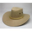 Chapeau de Cowboy Western Premium pour Aventures Élégantes