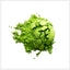 Thé Matcha Premium - Poudre de Thé Vert Japonais Authentique