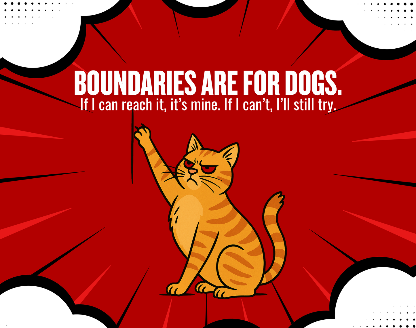 Catsplaining the Year – 2026 Funny Cat Calendar