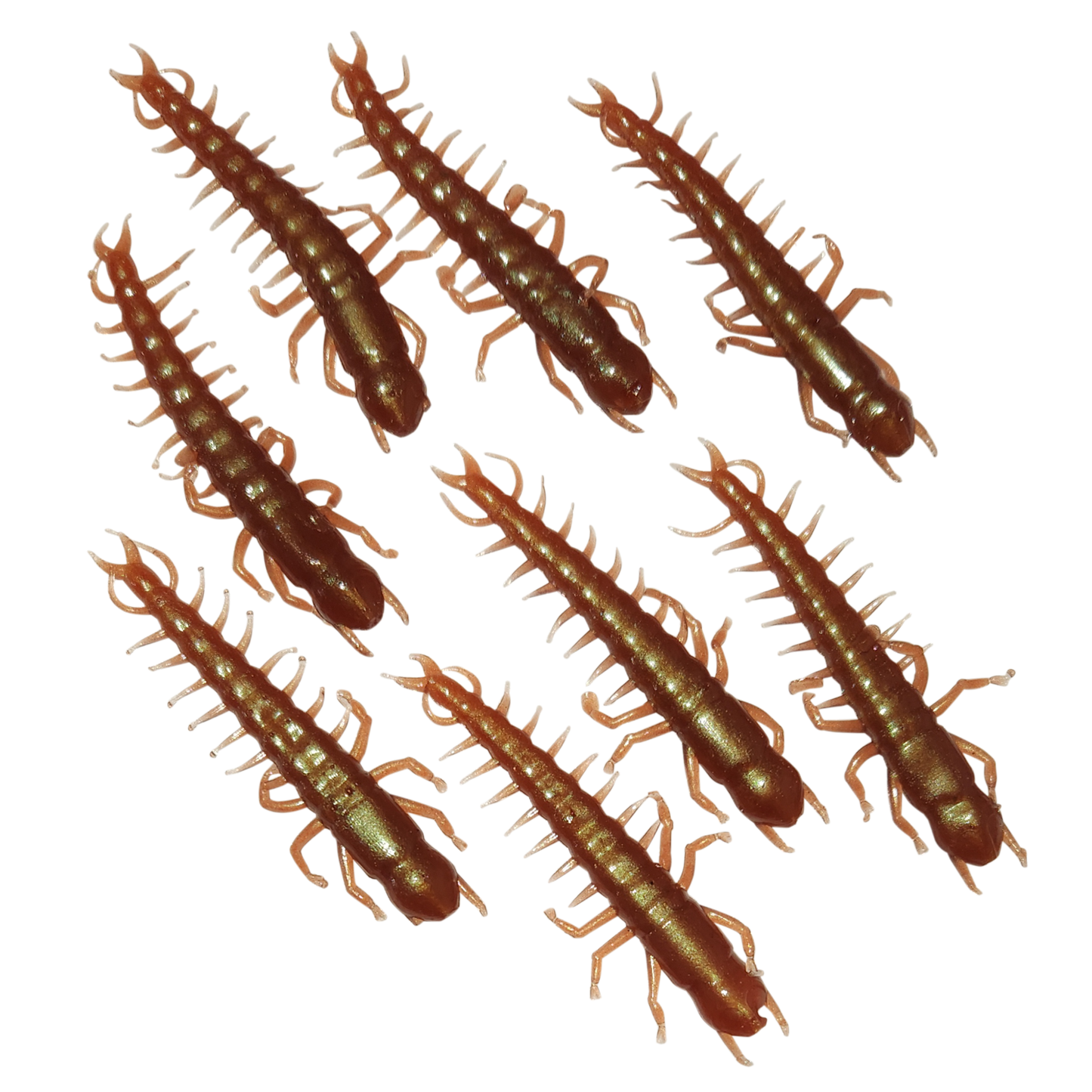 Custom Hellgrammites