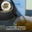 Ikaria Tea – Blue Zone Herbal Blend with Dandelion, Sage & Rosemary