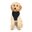Hoodie pour chat légèrement hostile – Noir