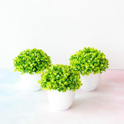 Mini Artificial Bonsai Plant in Decorative Pot
